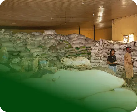 Trees saved in 2023/24 and 50 tons of waste converted into fuel.