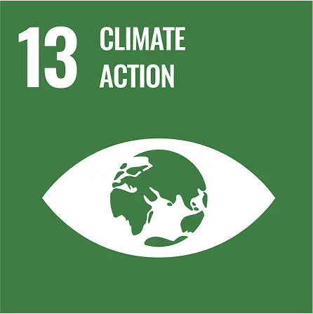 Cropsafe’s preservation methods and sustainable practices have saved over 1,000 trees, helping reduce deforestation and carbon impact while promoting climate-smart agriculture.